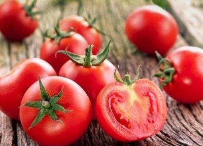 کشف ماده ای طبیعی که کیفیت اسپرم را بهبود می بخشد