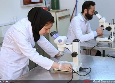دانش آموختگان دانشگاه مازندران با فراوری مواد شیمیایی برای فارغ التحصیلان اشتغالزایی کردند