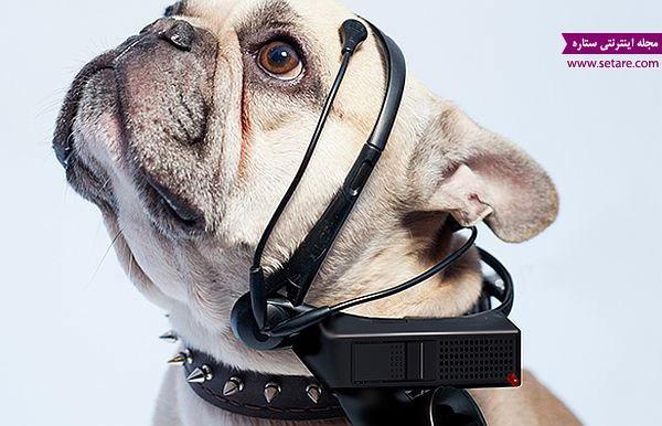 تکنولوژی جدید برای ترجمه افکار سگ به زبان انسان