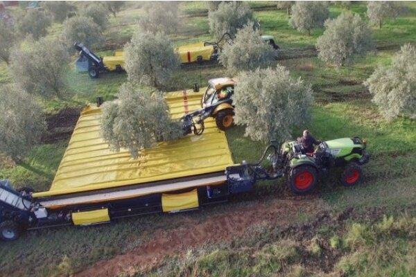 ماشینی که میوه درختان را برداشت می کند